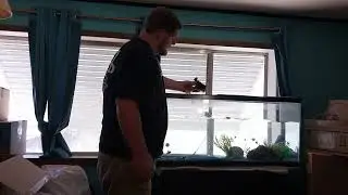 55 Gallon Fish Tank Rescued in Kingman - Arizona Fish Rescue - Pendley's Plentiful Pets