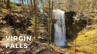 Virgin Falls Trail | A Hidden Waterfall Hike in Middle Tennessee