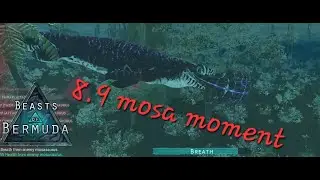 Aqua Sai on TOP | Beasts of Bermuda