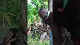 Moun mele ak Gwo-Mal