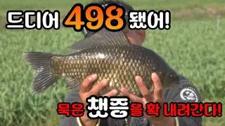 덩치가 등산화 2배 498대물붕어 기가 차다~