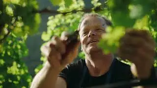 Kellerei Eisacktal | Imagefilm