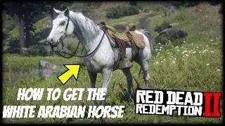 HOW TO GET THE WHITE ARABIAN HORSE I RDR2 Tutorials