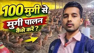मुर्गी पालन कैसे करें | 100 मुर्गियों से हर महीने कमाई तक 🤔😱🐓 | Murgi Palan Business