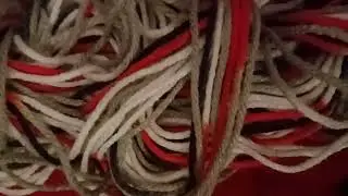 WILD YARNS - THE SULTRY VOICE 🍍🍓🍒