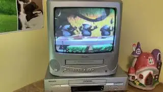 Disney Preschool Videos 2. The Animal Shelf Quinn Xavier And Zoe The Moles Is Cheering Promo 1999