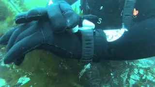 XS Scuba - Touch Gloves