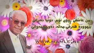 ئەی گوڵفرۆش تاکەی - محەممەد ماملێ | Mamle - Ay golgrosh ta kay