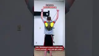 🌀 Banded Scap Angels #shoulderstability #shoulderpainrelief #scapularcontrol #rotatorcufftraining #