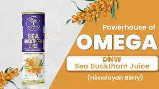 DNW New Product Launch | Sea Buckthorn Juice #mlmindia