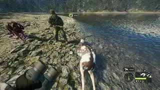 Abate de Gamo Malhado + Dima Fail || The Hunter Call of the Wild