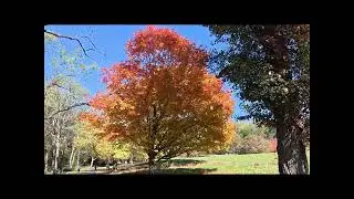 Holmdel Park 10-23-2025