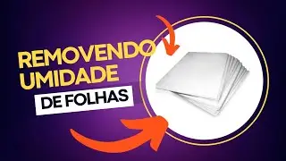 COMO REMOVER UMIDADE DOS PAPEIS SEM ESTUFA.