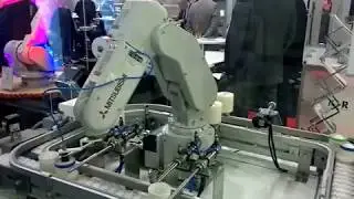 8. Mitsubishi RV-F Series 6-axis Robots