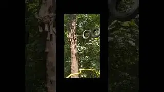 Biodiversity Park Mollem Goa      | Ratish Naik | Monkey Mind |