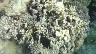 M4H00284.MP4