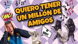 &iquest; C&oacute;mo ense&ntilde;o a mi perro a ser sociable?
