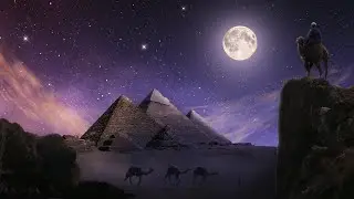 camel's habitat||wildlife habitate