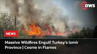 Watch: Raging Wildfires Engulf Turkey&rsquo;s Cesme Region | Firefighting Helicopters in Action | AL15