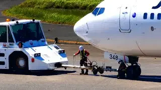 [Pushback & Towbar Disconnect] JAL(JA348J) Boeing 737-800 [Haneda Airport] Japan Airlines