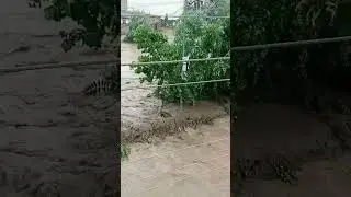 makanbagh chwak selab