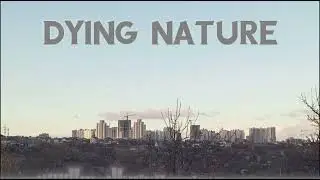 Аудио трек - Dying nature