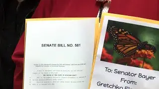 What will be the State Insect of Michigan??