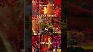 Welcome Fall .. Looking Forward To Your Beauty . Enjoy Gods Creations #love #inspiration #Godsbeauty