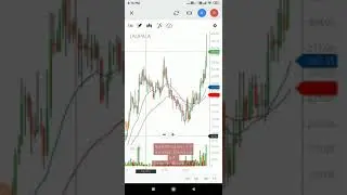 LAOPALA Stock Analysis Daily Weekly Monthly 👍