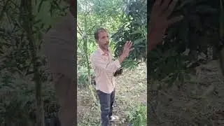 #farming #pesticides #agriculture #kisan #agro #experiment 