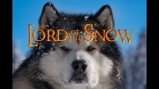 The Lord of the snow