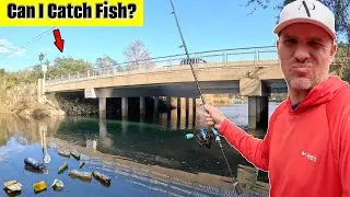 Fishing the Worst Rated Spot in My City! *Crazy Results*
