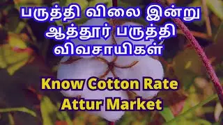 பருத்தி விலை இன்று | ஆத்தூர் பருத்தி விவசாயிகள் | Cotton Rate At Attur | #Cottonratetoday