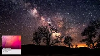 Michael Fearon - Falling (Extended Mix) [Music Video] [Essentialism (RNM)]
