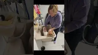 у вас так-же после прогулки? #dog #cani #suisse #italia #