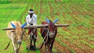 POWER WEEDER HTP PUMP SETTING AND PRESSURE CHECK IN TAMIL