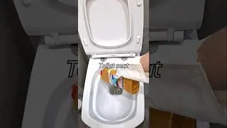 5 Things You Should Clean Every Day 🫧🫧🫧 #asmr #ordergropping #cleaning #cleaningmotivation