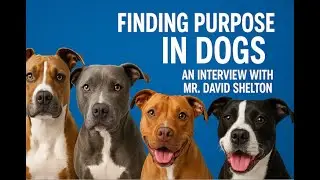 Finding Purpose in Dogs: An Interview with Mr. David Shelton