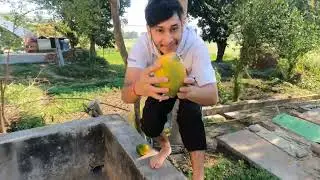village masti video #abchannel #abchannel #villagevlog #village #vlogging #vlog