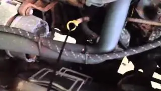 25057