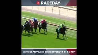 Bliss Bomb - Seymour RC Parker Bros Earthmoving Maiden 2YO Plate - Seymour - January 16 2025