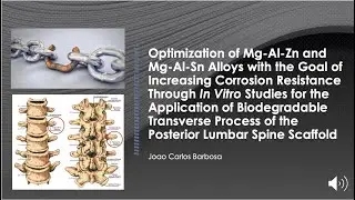 Magnesium Alloy Biodegradable Scaffold Proposal