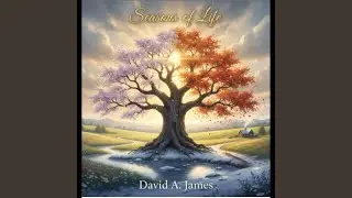 Seasons of Life