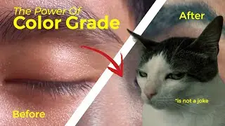 Before After Color Grade - Davinci Resolve