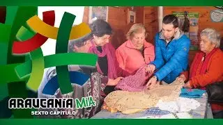 ARAUCANÍA MÍA: CAPÍTULO 6 TRAIGUÉN