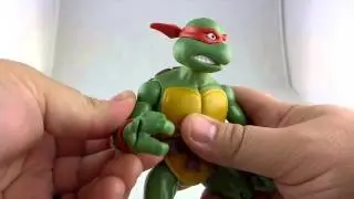 Raphael 6