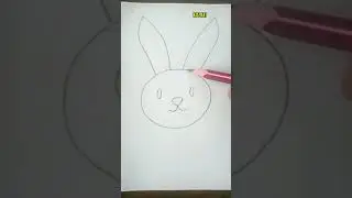 How to Draw a Rabbit Face Easy | Easy Drawing | Bunny's Face Drawing #shorts