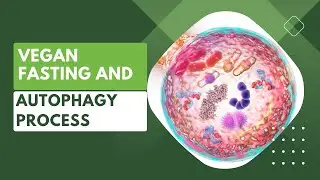 Unlocking the Power of Vegan Fasting and the Autophagy Process 🌱🔬