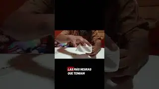 👉 C&oacute;mo Germinar Semillas en Casa (F&aacute;cil y R&aacute;pido) 🌱 | Mr 4:20.                Capitulo 1