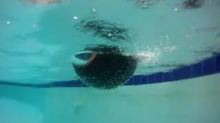 GuardBot Amphibous Robotic Vehicle Operating In Water